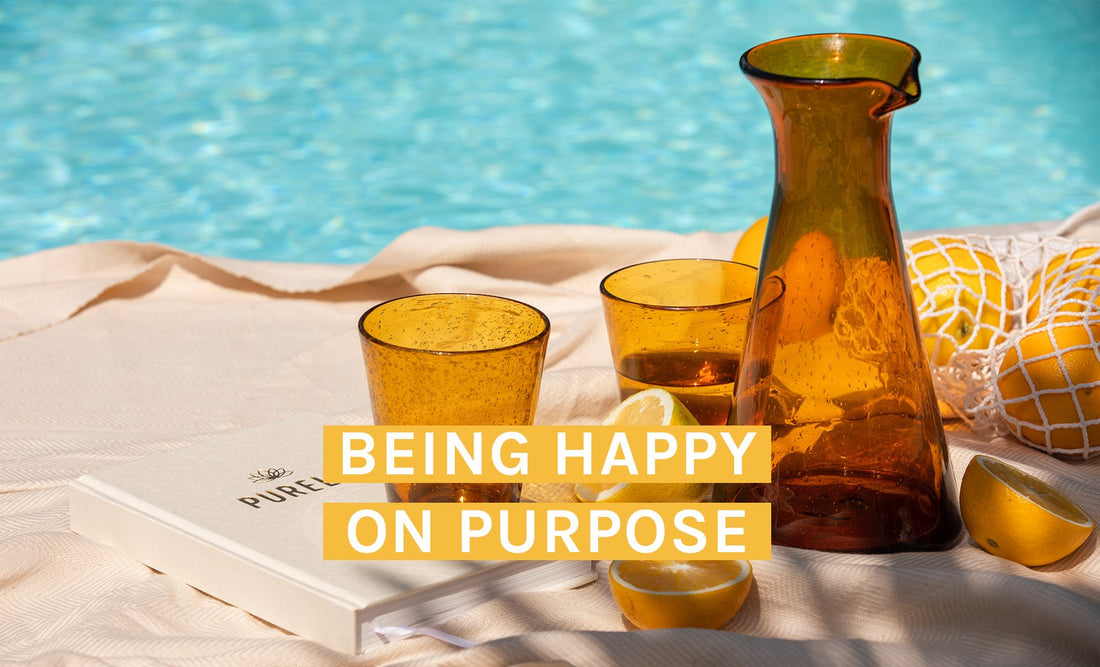 A guide to happiness - INT PURELEI