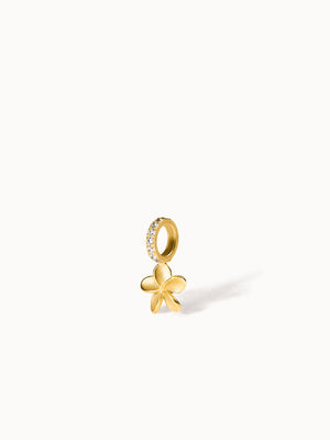 Charm Empowher