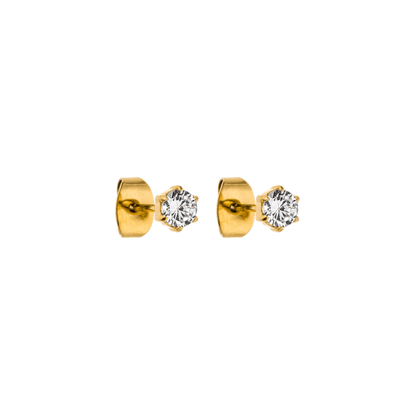 Charming Earring