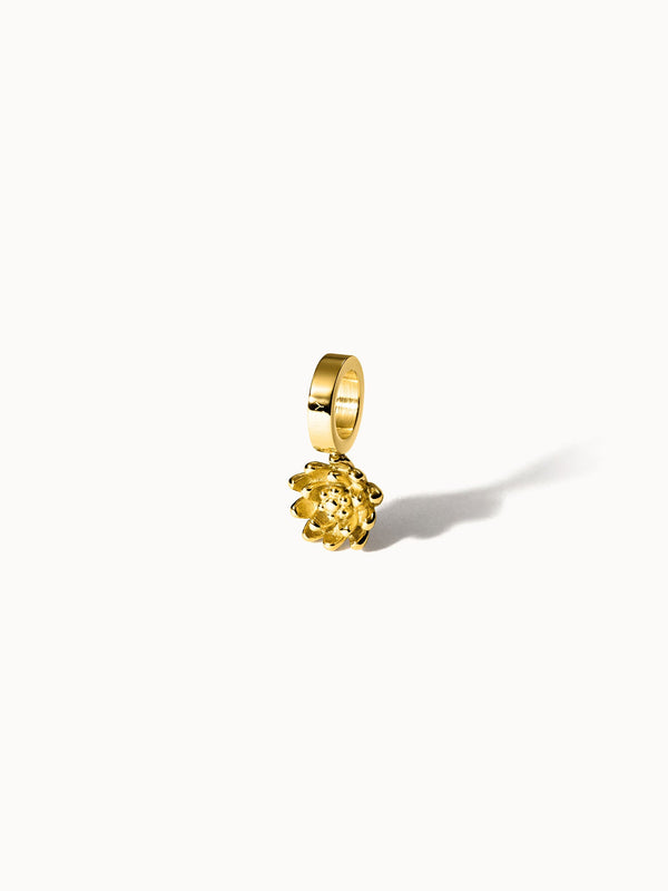 {"color":"Gold", "type":"lead_image"}