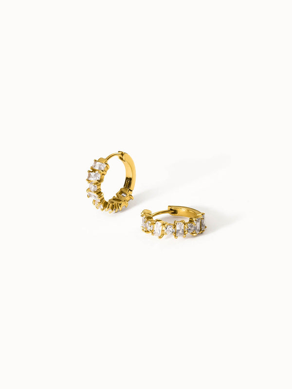 Chic Earring