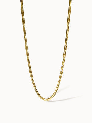 {"color":"Gold", "type":"lead_image"}