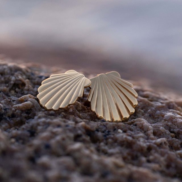 Shell Earring