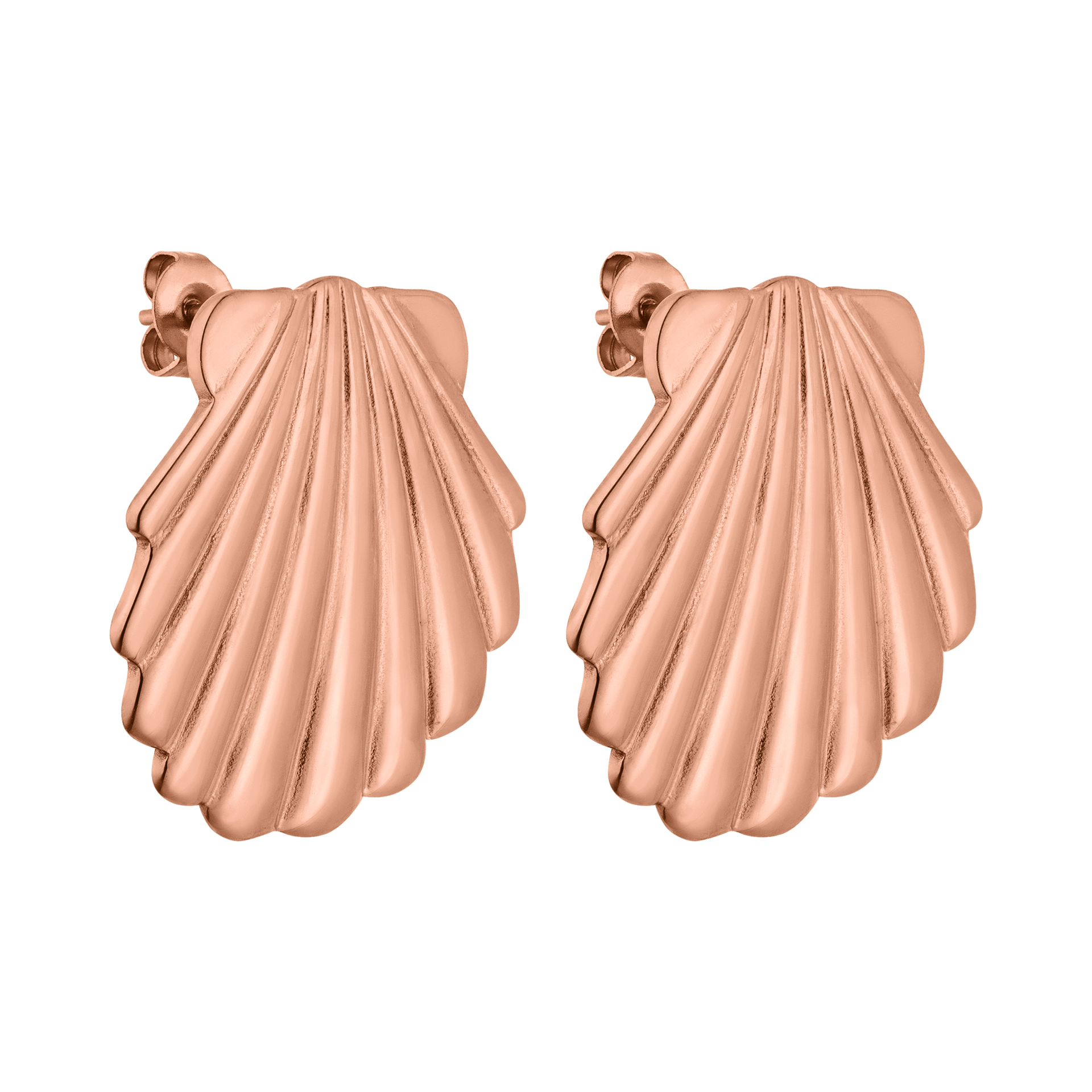 Shell Earring