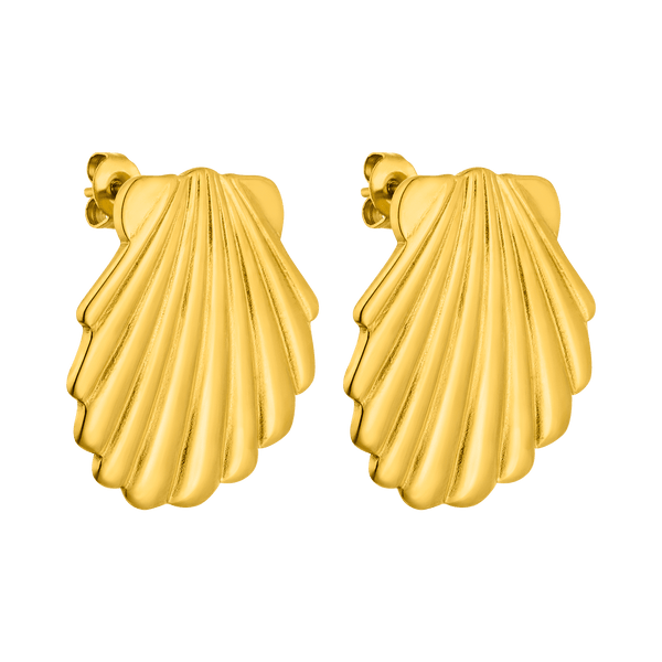 Shell Earring