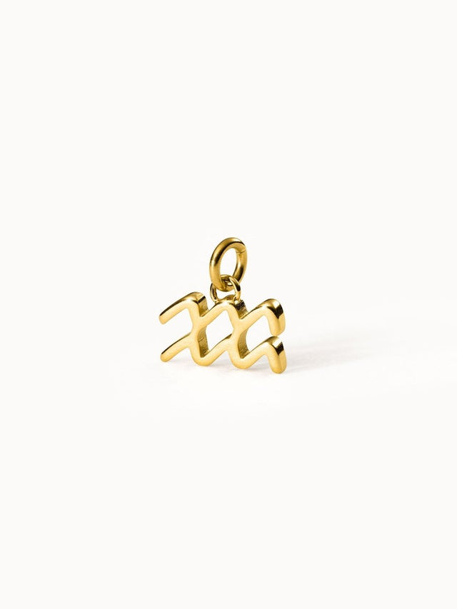 Aquarius Zodiac Charm - INT PURELEI