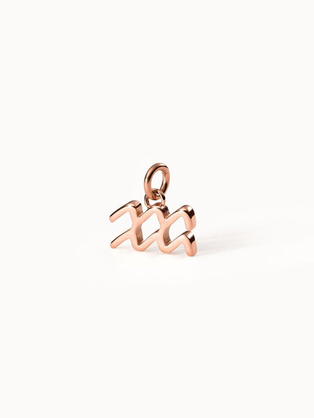 Aquarius Zodiac Charm - INT PURELEI