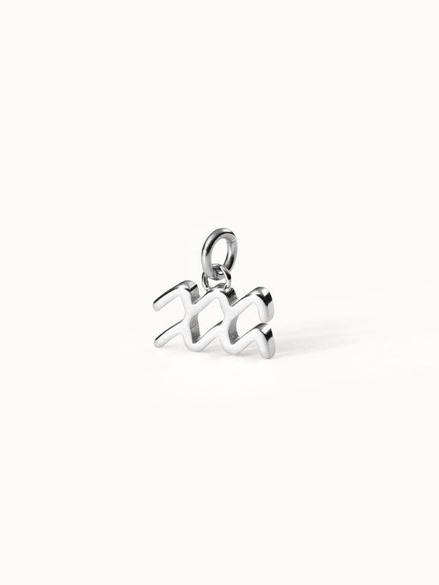 Aquarius Zodiac Charm - INT PURELEI