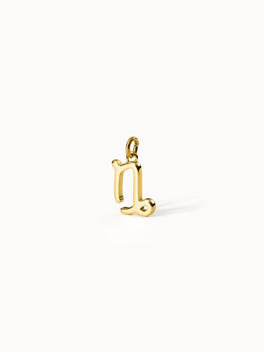 Capricorn Zodiac Charm - INT PURELEI