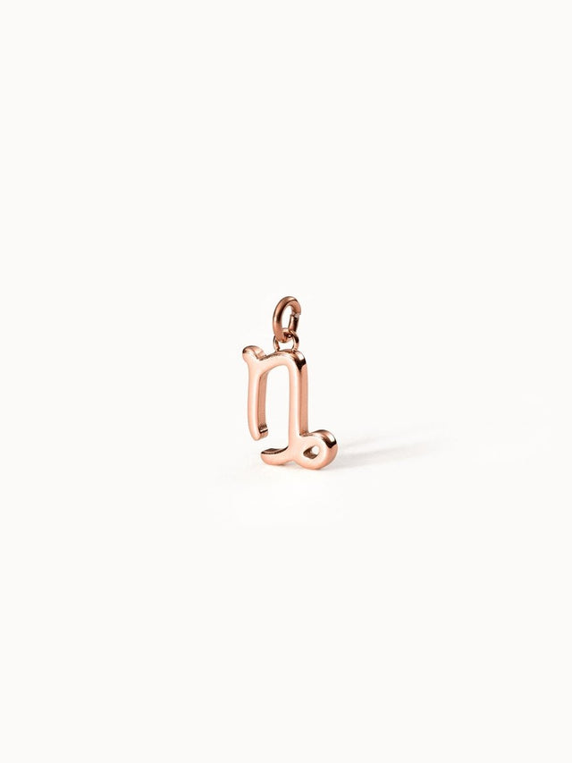 Capricorn Zodiac Charm - INT PURELEI