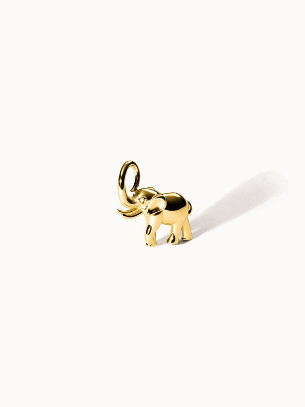 Flowing Strength Charm - INT PURELEI