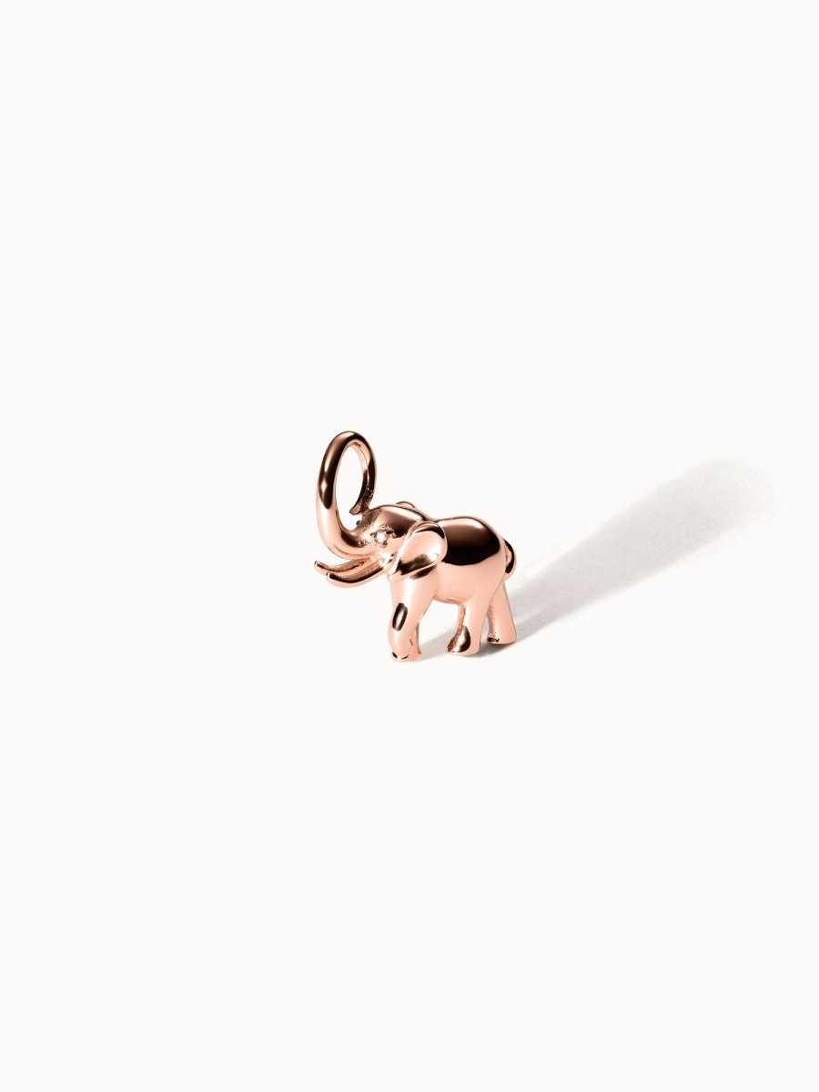 Flowing Strength Charm - INT PURELEI