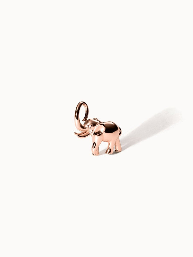 Flowing Strength Charm - INT PURELEI