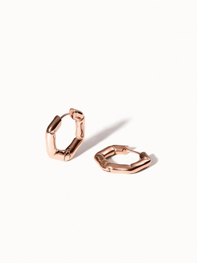 Hexagon earrings - INT PURELEI