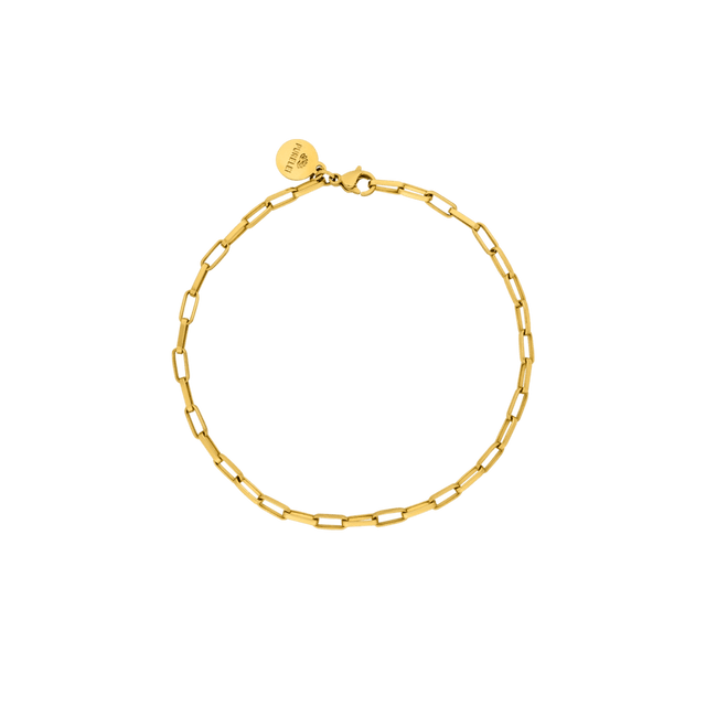 Link Chain Bracelet - INT PURELEI