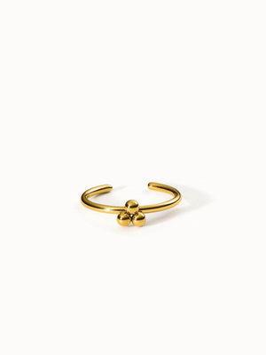 Seed Ring - INT PURELEI