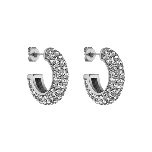 Big Glitter Earring