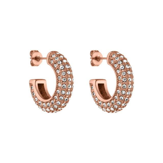 Big Glitter Earring