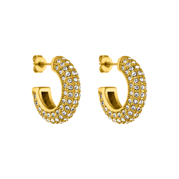Big Glitter Earring
