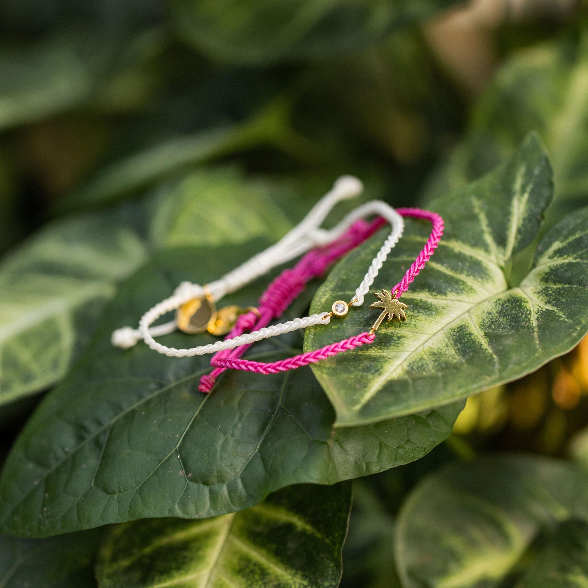 Pink Island Armbandenset
