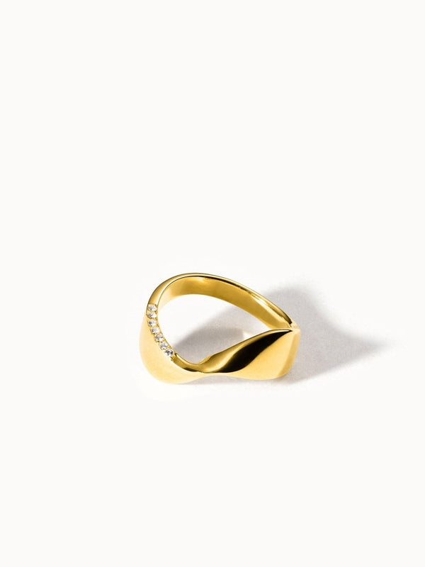 Swing Ring - INT PURELEI
