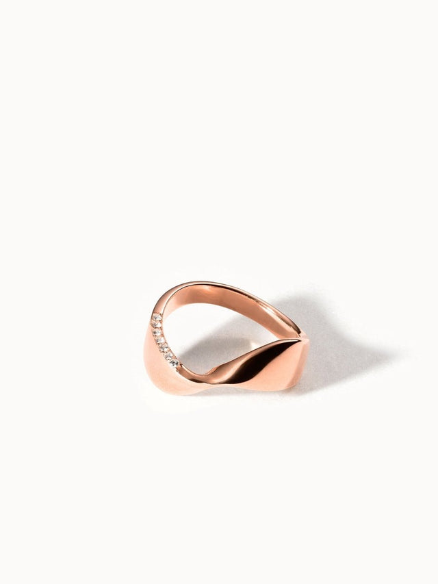 Swing Ring - INT PURELEI