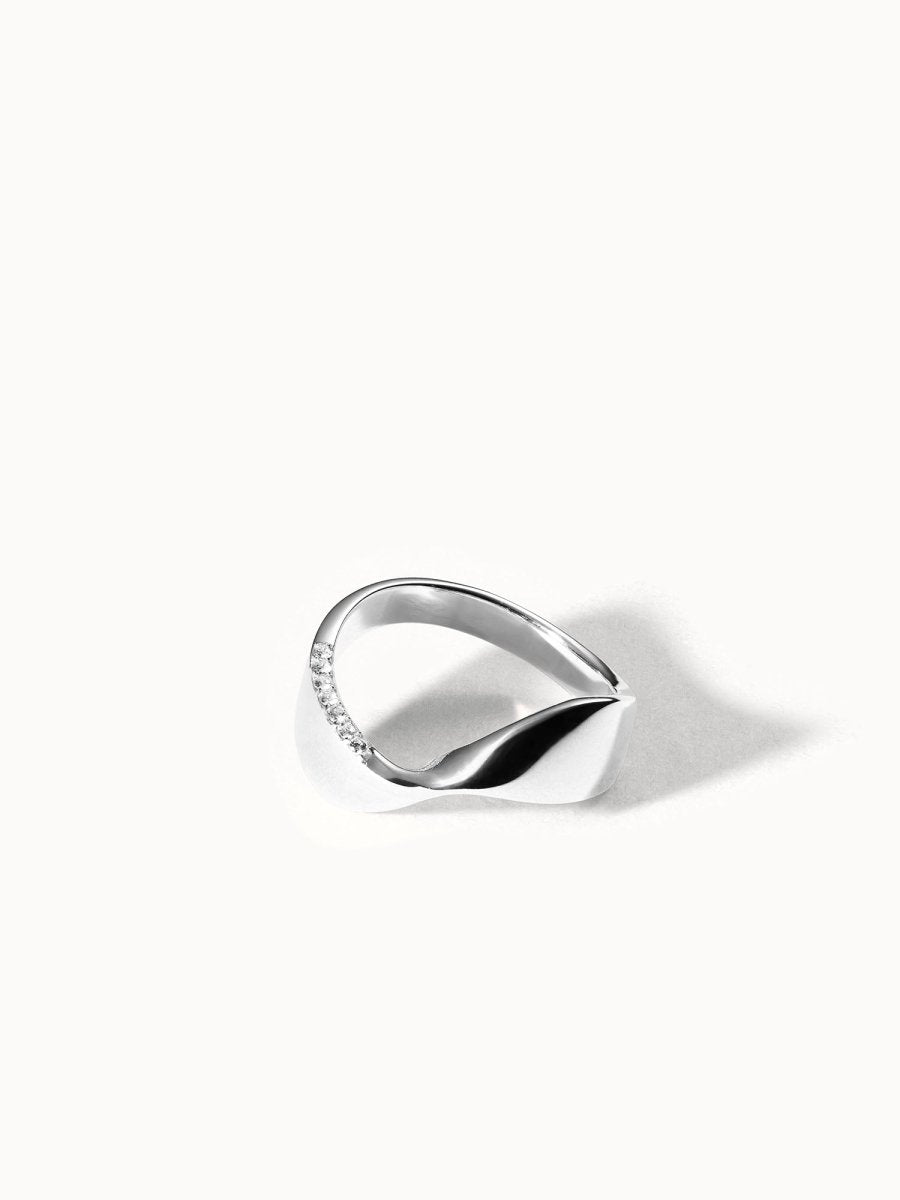 Swing Ring - INT PURELEI